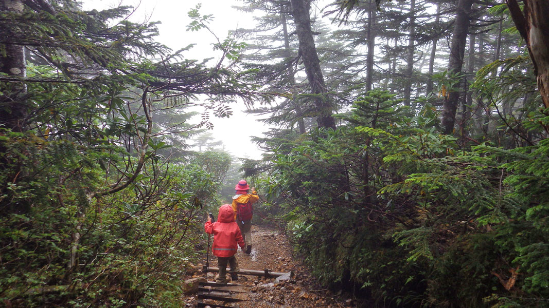 箕冠山北斜面→根石岳山荘
