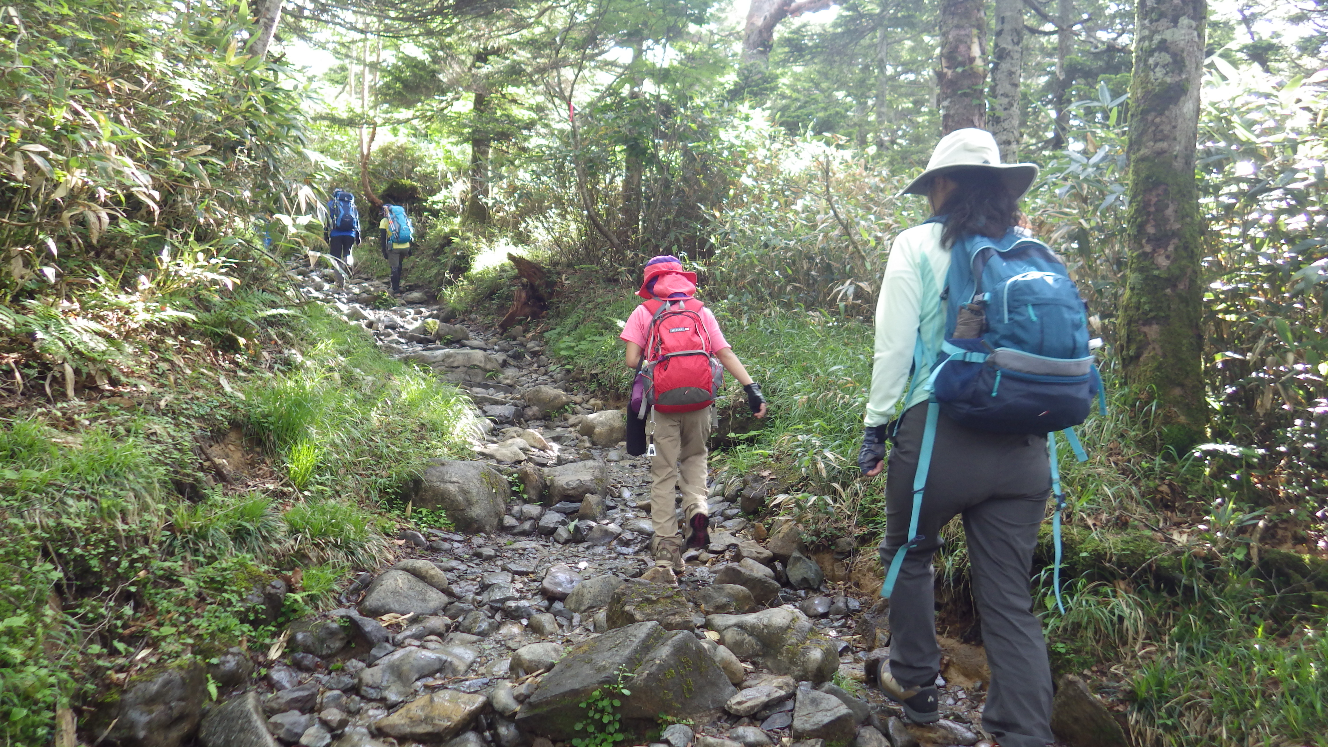 小田越登山口から出発