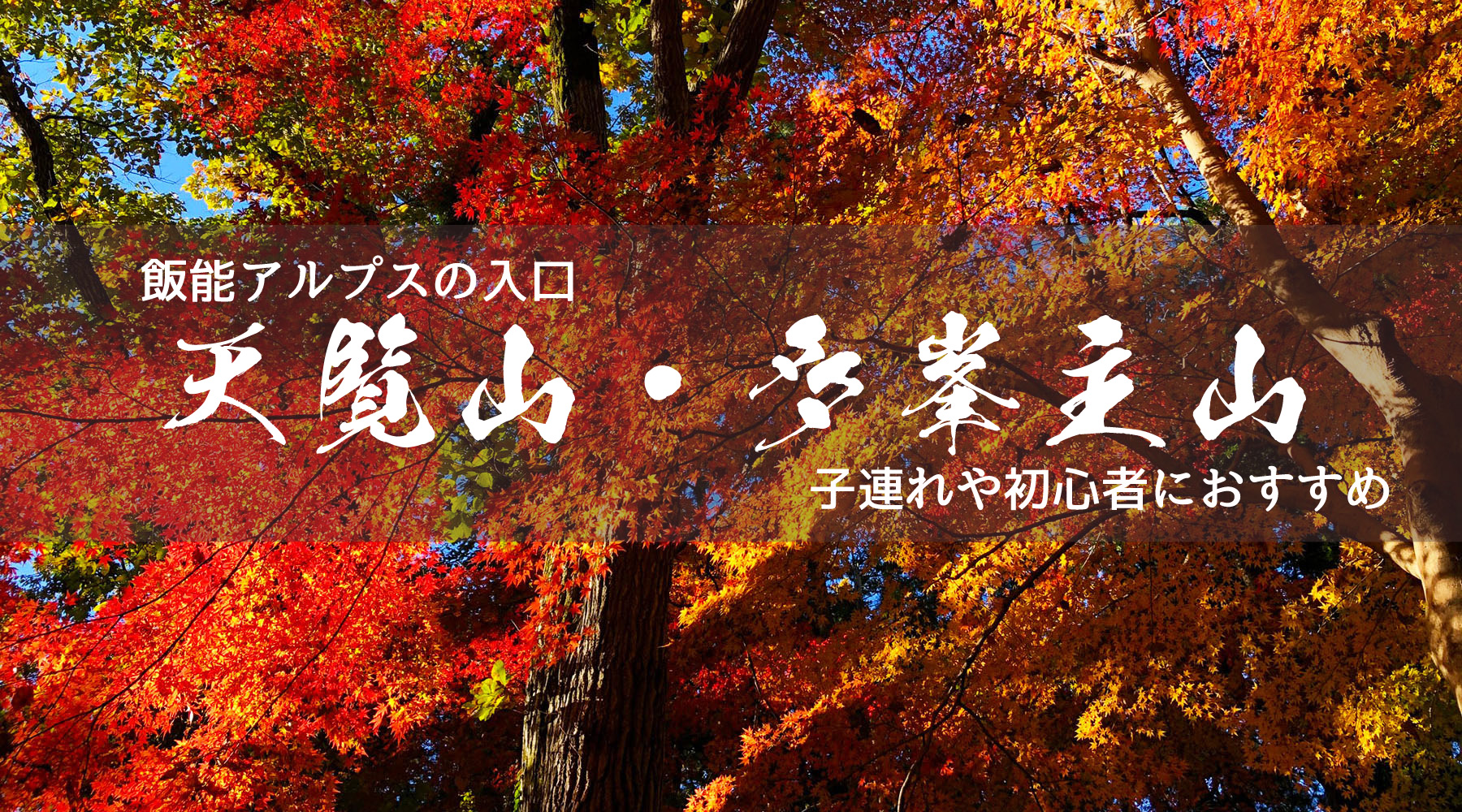 奥武蔵 飯能アルプスの入口として知られる天覧山と多峯主山をピストン ねこみみずきん